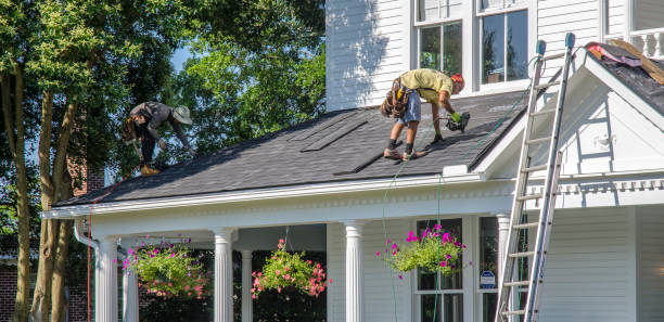 Best Roof Gutter Cleaning  in Parkers Prairie, MN