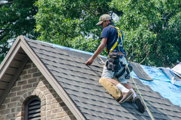 Best Affordable Roofing Company  in Parkers Prairie, MN